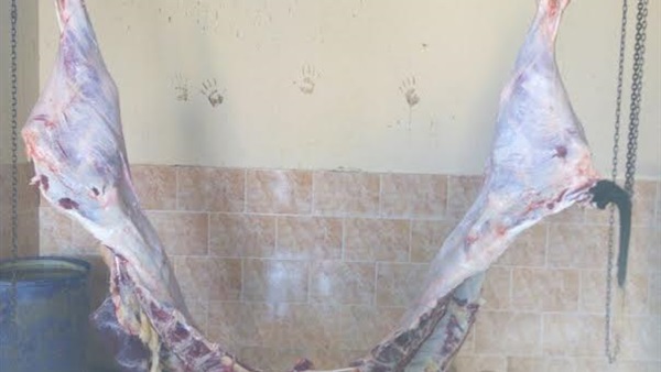 حبس جزار 4 أيام بتهمة فتح سلخانة بأختام مزورة في السويس