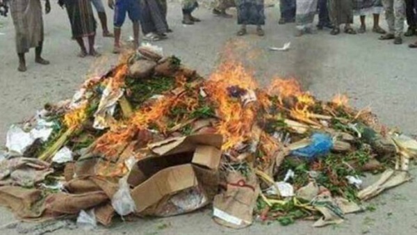 محافظة سقطرى تحرق طنين من «القات»