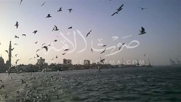 طقس بارد يضرب بورسعيد وبورفؤاد 