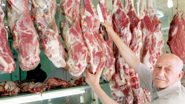 طرح 3.5 طن لحوم ومواد غذائية بمغاغة في المنيا