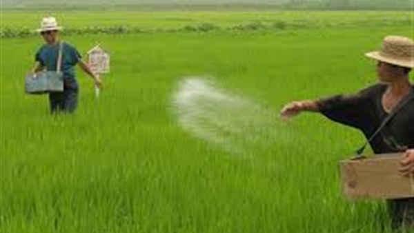 انخفاض إنتاج المواد الغذائية في كوريا الشمالية بنسبة 14%