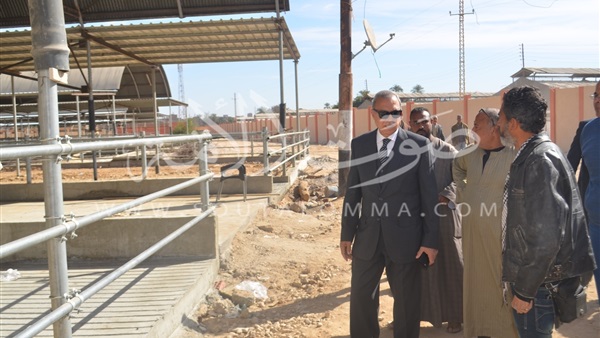 محافظ قنا يتفقد مشروعات الألبان بالمحافظة