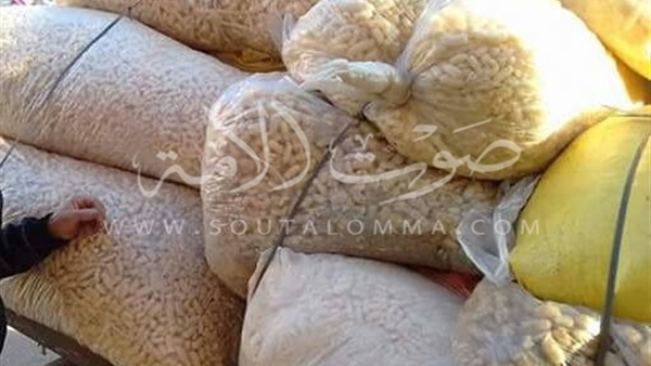 ضبط نصف طن «كاراتيه أطفال» منتهي الصلاحية ببني سويف ‎