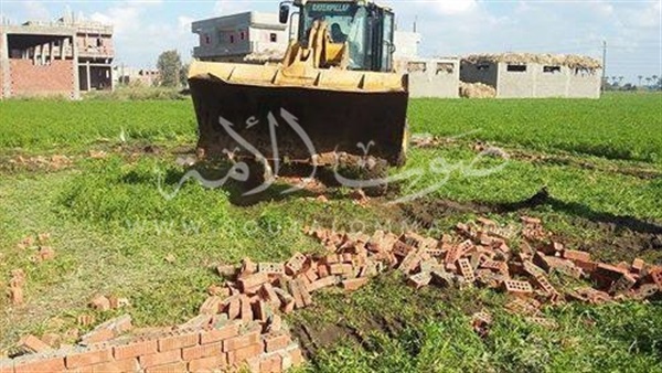 رفع 400 متر تعديات على الأراضي الزراعية بدمياط‎