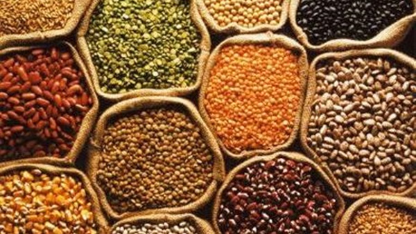 تعرفوا على الفوائد الصحية لتناول «البقوليات» 