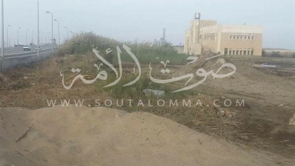 عواصف ترابية تضرب بورسعيد وبورفؤاد