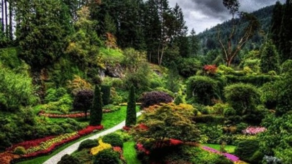 40% من النساء الفرنسيات يعرفن الوقت المناسب لزراعة الحدائق