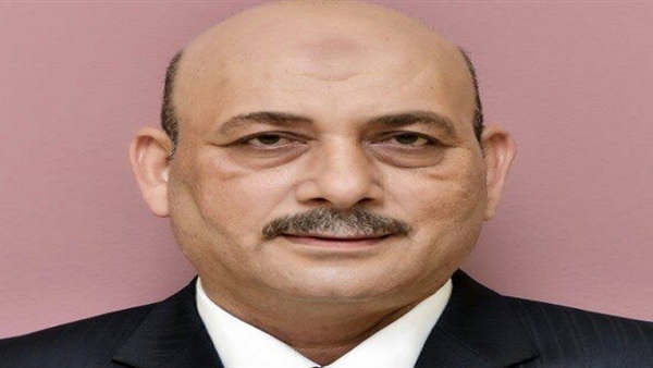 «الجزار»: لن أتنازل عن حق البساتين في مستشفى عام
