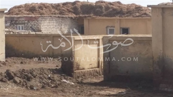 «متحف عرابي».. كنوز تحولت إلى أطلال (صور)