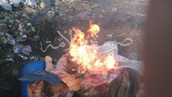 ضبط وإعدام لحوم فاسدة في كفر الشيخ (صور)