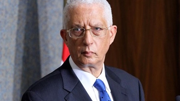 "لوزا": 36 ألف مصري أدلوا بأصواتهم في الخارج