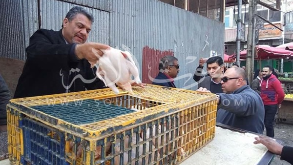 «تموين بورسعيد» يشن حملة مكبرة على الأسواق الشعبية (صور)