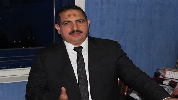 «الشافعي»: توقعات المؤسسات الاقتصادية الدولية تجذب الاستثمار لمصر
