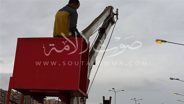 صيانة أعمدة الكهرباء بمدخل بورسعيد الجنوبي (صور)