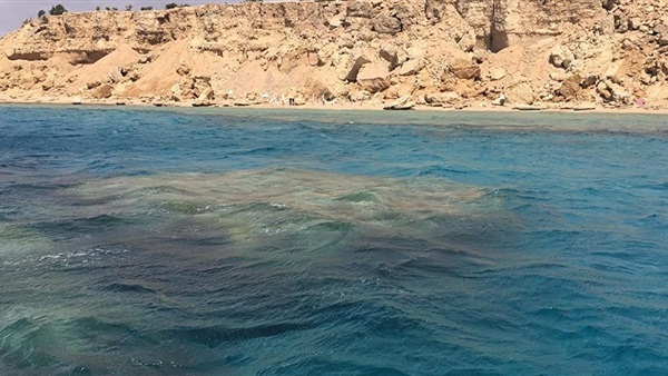 إحالة دعوى بطلان اتفاقية ترسيم الحدود بين مصر واليونان للمفوضين