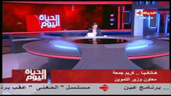 «الأهلى» للنيابة: القطط "بتخربش" الأعضاء.. فخدرناها  