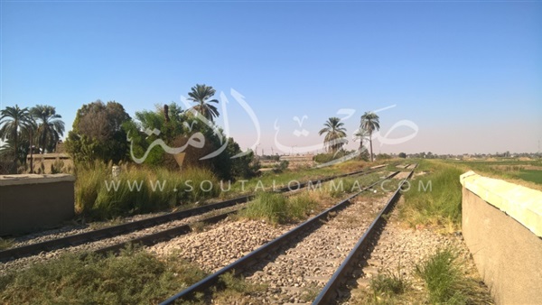 «مزلقانات قنا».. ممرات العبور إلى الموت (صور)