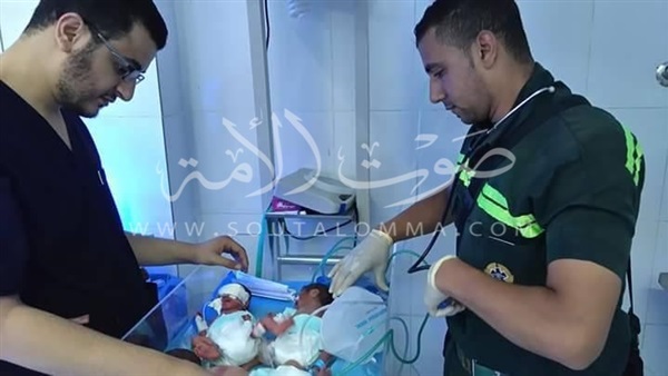 «إسعاف كفر الشيخ» ينقل 3 أطفال توأم للمستشفى العام