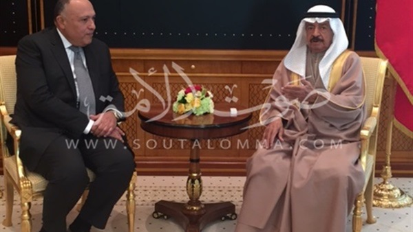 شكري: مصر تدعم استقرار البحرين وسلامة أراضيه