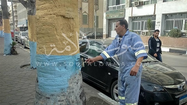 حملة لتجميل شوارع حي شرق في بورسعيد (صور)