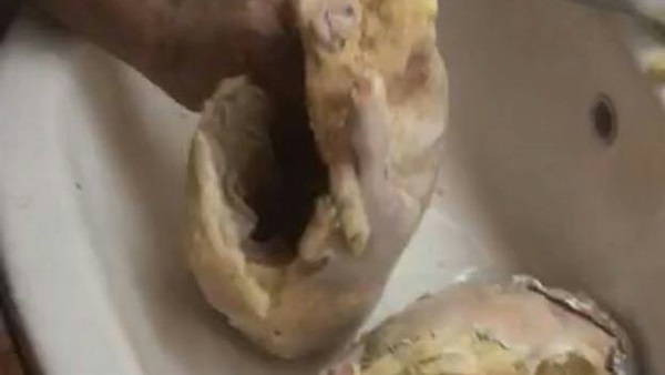 «طيور بالمخدرات» في مطار القاهرة (صور)
