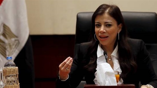 «سانمار الهندية» تخطط لزيادة استثماراتها بمصر لـ1.5 مليار دولار