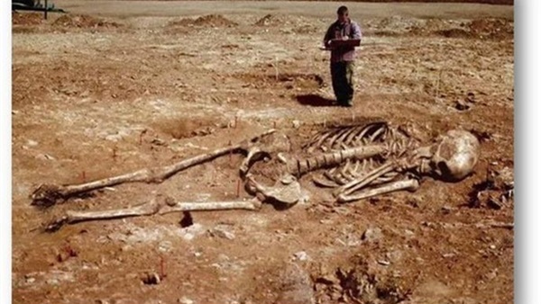 العثور على هيكل عظمي لإنسان أوروبي جلده أسمر وعيناه زرقاء