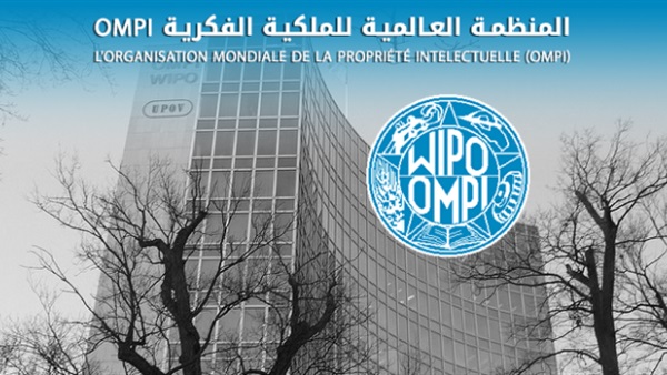 جوجل يحصل على شهادة من المنظمة العالمية للملكية الفكرية