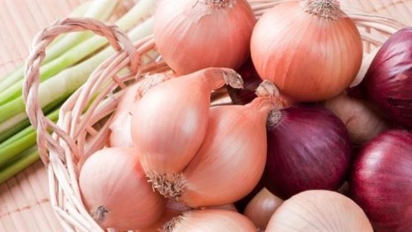 عضلة كهربائية مستوحاة من خلايا جلد البصل
