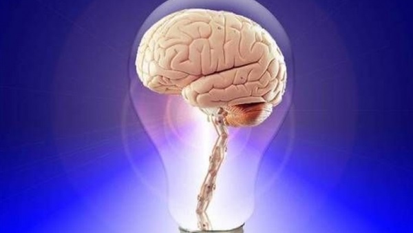 شكل المخ يؤثر في تباين سمات الشخصية