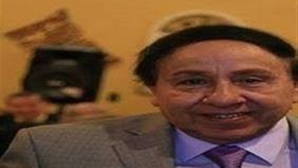رئيس الجالية المصرية بأمريكا: لا دور لجمعيات المصريين بالخارج 