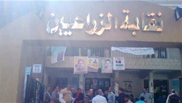 27 مرشحا يتنافسون على مقاعد «الزراعيين» بالمنيا