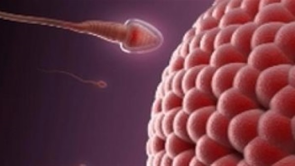 انتبه.. لزوجة السائل المنوي تؤثر على الإنجاب