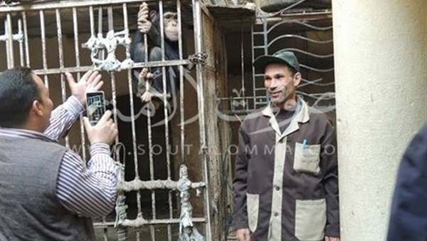 ضبط حيوانات محظور تداولها في فيلا محامي شهير بالعروبة (صور)