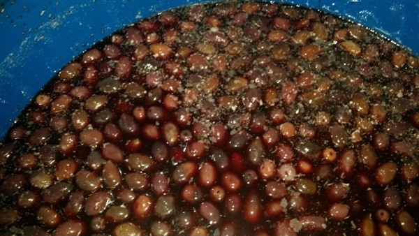 ضبط طن زيتون بمخزن في البحيرة‎