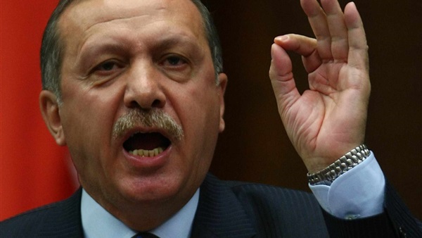 برلماني نمساوي: أردوغان يمتلك نظام تجسس لمراقبة معارضيه
