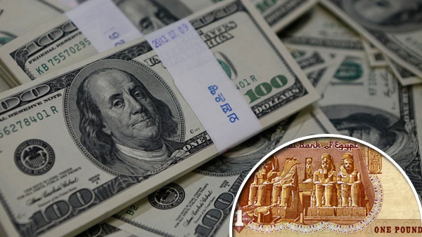 خبير اقتصادي: تعويم الجنيه أعاد الدولار عملة بعد تحوله لسلعة