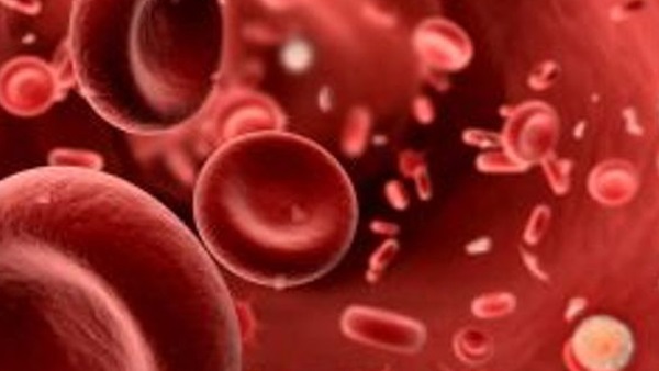 قبل اتخاذ قرار الزواج  اطمئن علي نفسك واحمى أطفالك من وراثة أنيميا البحر المتوسط