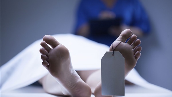 زوجة تطلب الخلع أمام النيابة: قتل شقيقي أمام عيني