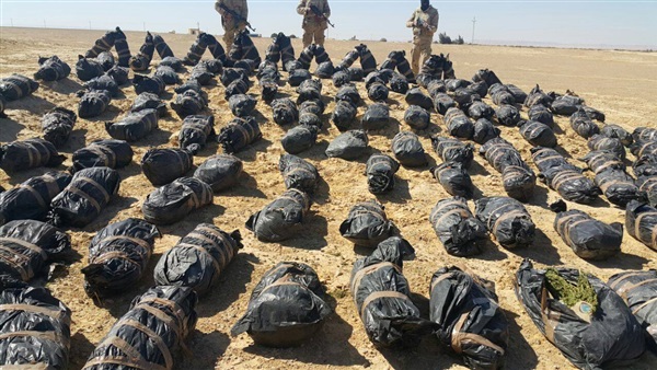 القبض على تكفيريين وتدمير 30 مزرعة «خشخاش» في سيناء (صور)