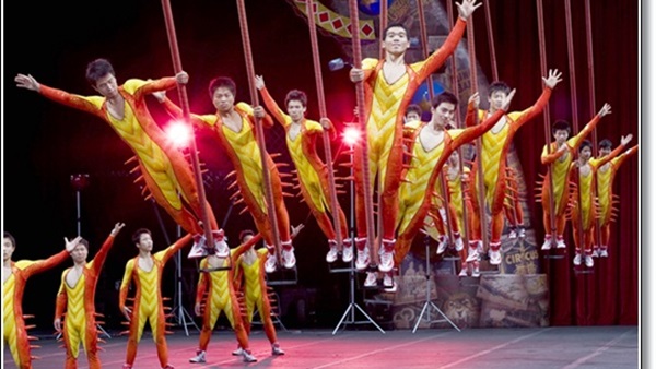 أول موسوعة عن السيرك تصدر قريبا