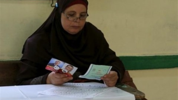 الادارى يقضي برفض اعادة الانتخابات بدائرة عين شمس 
