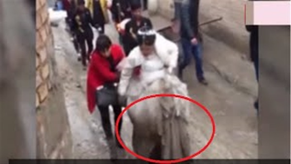 بالفيديو..عروس تتعرض لموقف محرج أثناء حفل زفافها