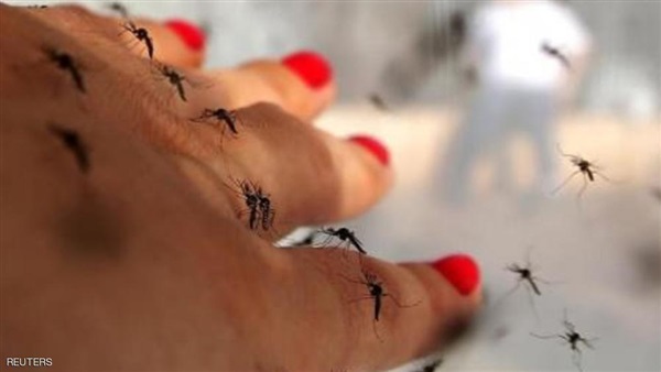 البرازيل تؤكد صلة فيروس زيكا بتلف دماغي قاتل