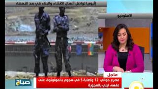 بالفيديو..«علاء ياسين»: الدراسات الخاصة بسد النهضة لم تبدأ