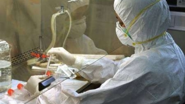 8 دول توقف استيراد الدجاج الفرنسي بسبب أنفلونزا الطيور