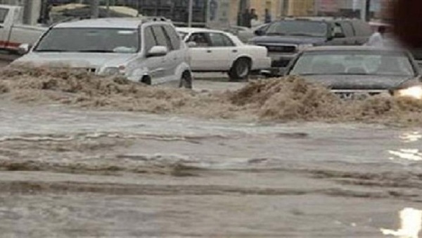محافظتي الدقهلية والغربية تتعرضان لموجة رياح شديدة مصحوبة بأمطار
