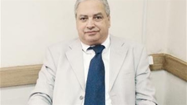 بدر الدين: «دعم مصر» يحاول استقطاب النواب المستقلين 