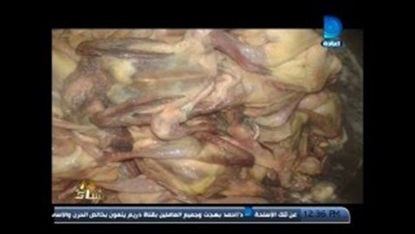 بالفديو.. «بيطرية» تعرض صورًا لمصنع حفظ طعام «غير آدمي»