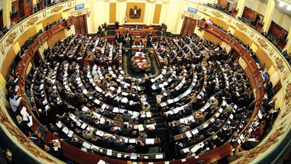 برلماني: رافضو الإنضمام لدعم الدولة لهم اعتبارات شخصية